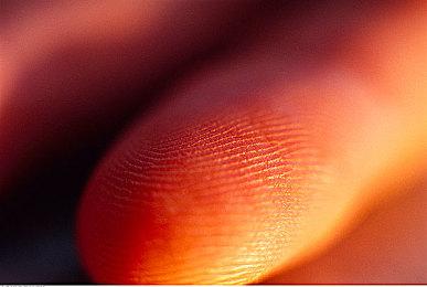 《荒野大镖客2》法律系统MOD修改警察出动时间